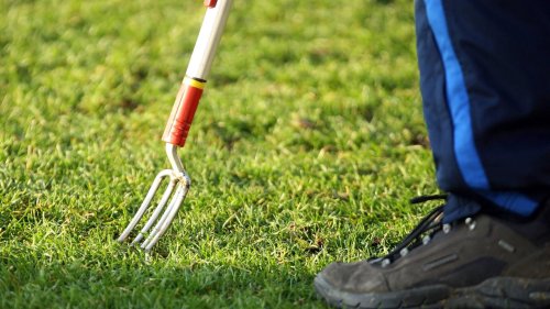 Gartenarbeit im April: Schneiden, düngen, pflanzen