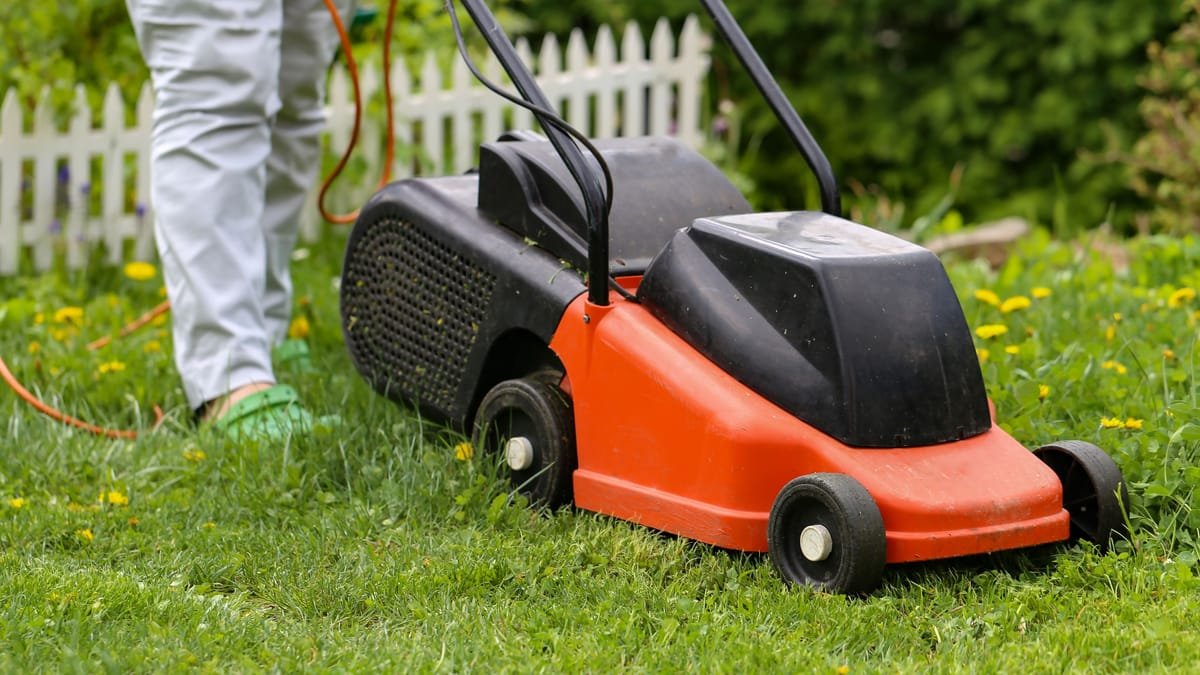 90 Angestellte bangen: Deutsche Kult-Garten-Firma steht vor dem Aus