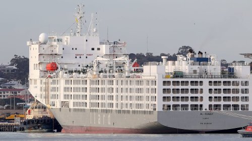 "Todesschiff" im Hafen von Kapstadt sorgt für Gestank und Empörung