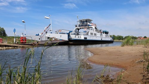 Kaum Wasser in der Elbe: Fähre bei Hamburg muss Betrieb einstellen – Pegel sinkt weiter
