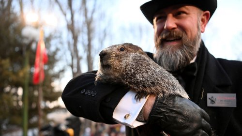 "Groundhog Day": Murmeltier sagt in USA sechs weitere Wochen Winter voraus