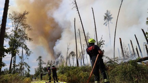 Waldbrand bei Darmstadt: Feuer auf munitionsbelastetem Gebiet