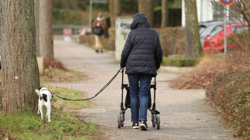 Befreiung möglich? Was Senioren jetzt über die Hundesteuer wissen müssen