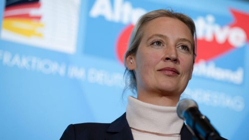 AfD-Debatte: Alice Weidel schweigt zu Trump und EU
