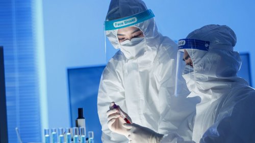 Tötet "überraschend schnell" – Chinesische Forscher züchten neues, tödliches Coronavirus