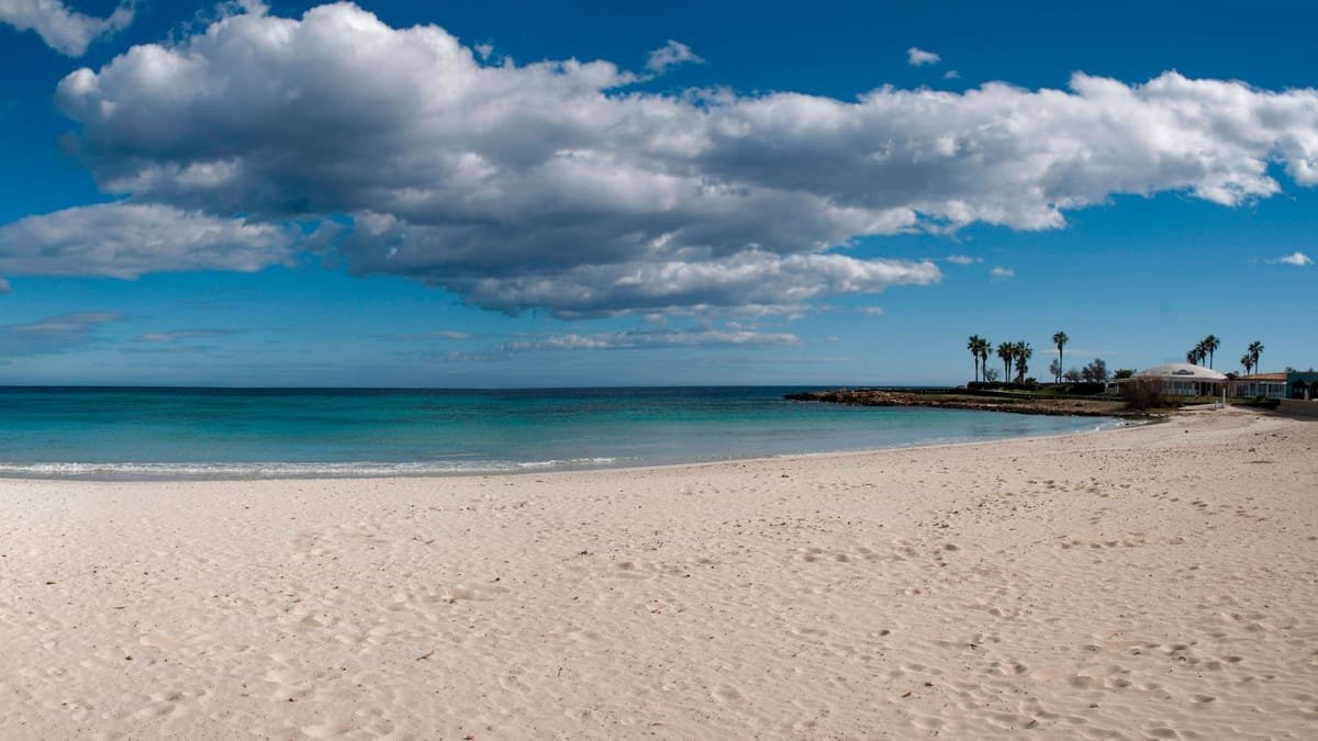 Mallorca: 10.000 Euro weg – Deutsche fällt auf Rosmarin-Trick herein