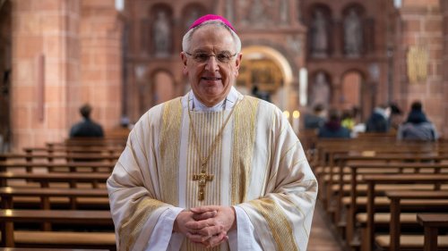 Dresdner Bischof stellt Seelsorger frei – Verdacht auf sexuelle Übergriffe