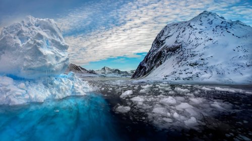 Welt-Premiere: Bremerhavener Forschern gelingt Sensation in der Antarktis