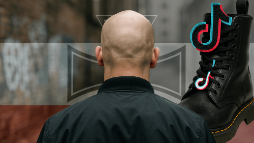 Neo-Nazis rekrutieren auf TikTok: Alte Kader locken Jugendliche an