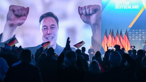 Elon Musk: Habe genug Geld für Politik ausgegeben