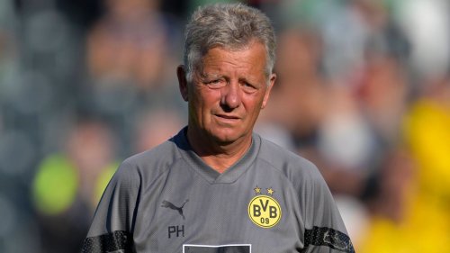 Bundesliga: BVB-Co-Trainer Peter Hermann beendet Karriere