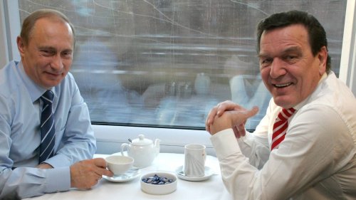 "Schröders SPD ist mitverantwortlich für Krieg in der Ukraine": Diese Vorwürfe erhebt ein neues Buch