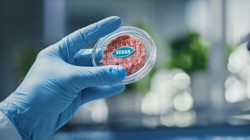 Fleischersatz: Nur Chemie? Darauf sollten Sie beim Kauf achten