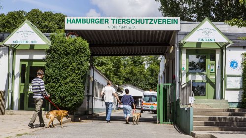 Tierheim-Überfall in Hamburg – überraschende Wende bei den Ermittlungen