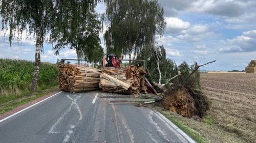 Kreis Diepholz: Betrunkener Lkw-Fahrer verliert große Ladung Holz