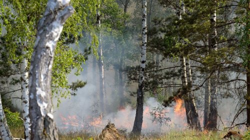 Waldbrand Jüterbog: Brandfläche in wenigen Stunden auf 326 Hektar verdoppelt