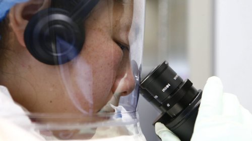 Ursprung des Coronavirus: Weißes Haus legt sich auf Labortheorie fest
