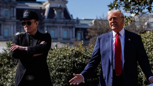 Donald Trump und Elon Musk suchen Maulwurf im Pentagon mit Lügendetektor