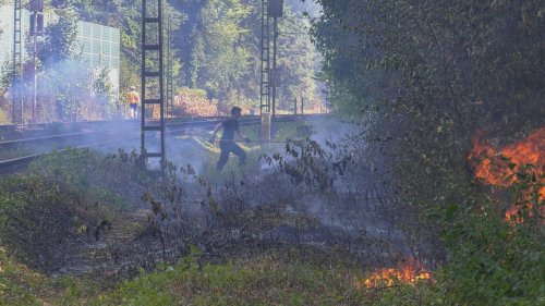 Mehrere große Waldbrände in Hessen: Zug löst Flächenbrand aus