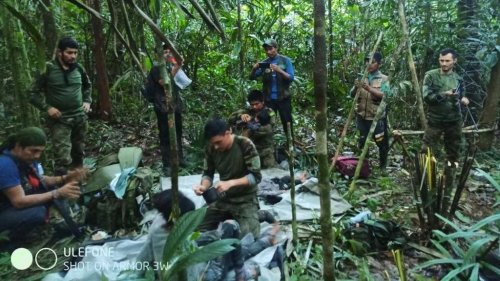 Im Dschungel vermisst: Vier Kinder nach 40 Tagen lebend gefunden