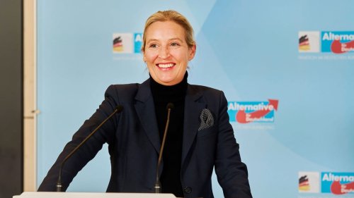 Bundestagswahl: AfD fordert wohl Einführung einer nationalen Währung