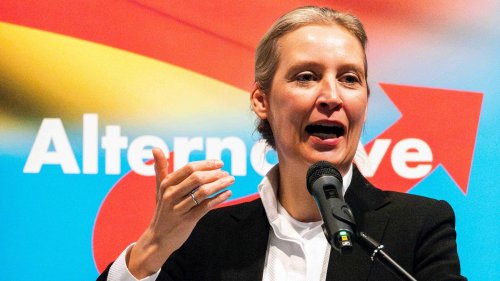 Wähler wenden sich ab: Schock für AfD-Chefin Weidel