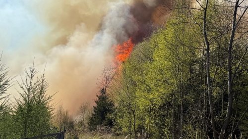 Nach Trockenheit: Waldbrände in NRW – Feuerwehren im Dauereinsatz