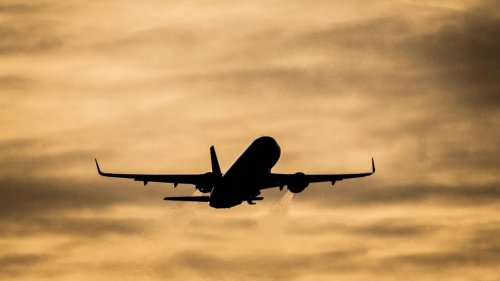 Klimaschutz in Deutschland: Misstrauen und sinkende Bereitschaft | Studie