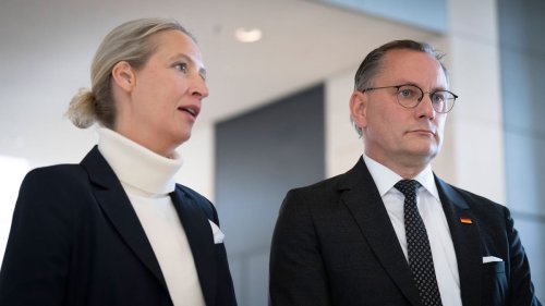 "Gesichert rechtsextremistisch": Magazin stellt AfD-Gutachten ins Netz