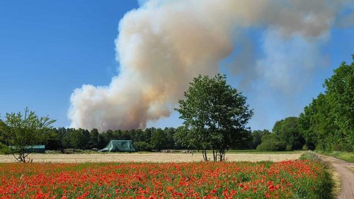 Jüterbog: Waldbrand in Brandenburg wird wohl noch Tage anhalten