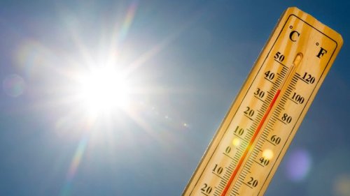 Quiz über den Sommer: Was wissen Sie über Hitze?