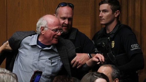 Ben & Jerry's-Gründer wegen Gaza-Protest festgenommen