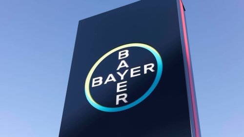 Bayer-Aktie im freien Fall: Milliardenstrafe belastet schwer