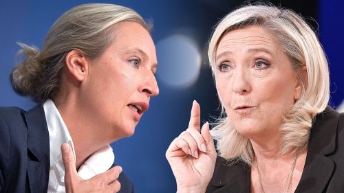 AfD-Chefin Weidel schwärmt von "hervorragender Atmosphäre" – Le Pen widerspricht