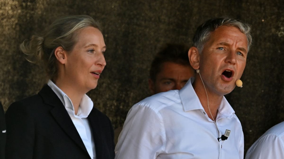 Livetalk mit Musk: Weidel spuckt auf das Andenken von NS-Opfern