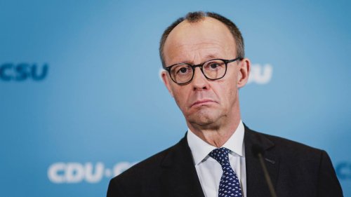 Friedrich Merz: Kein Fraktionschef flog öfter mit der Flugbereitschaft