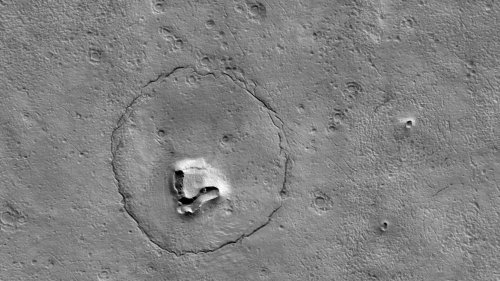 Foto vom Mars zeigt Bärengesicht