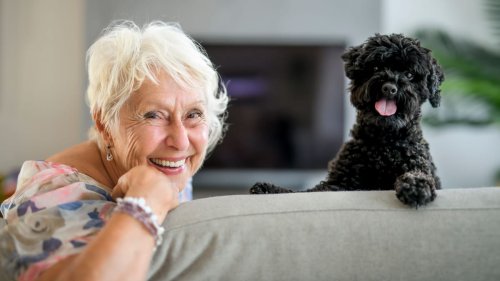 Fellnasen als soziale Begleiter: Diese Hunde eignen sich besonders gut für Senioren