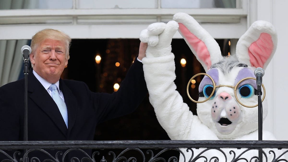 Trump bittet Europäer um Hilfe: Eier-Mangel durch Vogelgrippe