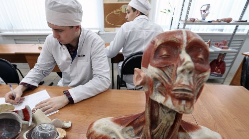 Russlands Medizinern gehen offenbar die Leichen aus: Stau vor Friedhöfen
