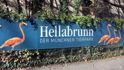 München: Tierpark Hellabrunn I Direktor droht mit Rausschmiss