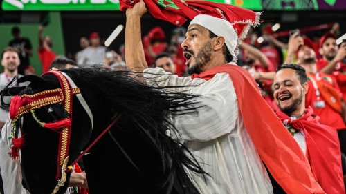 Unterhaltsames aus Katar | Notizen von der Fußball-Weltmeisterschaft