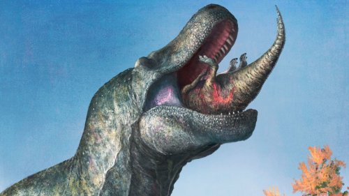 Tyrannosaurus Rex: So sah der Dinosaurier wirklich aus
