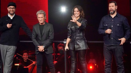 "The Voice of Germany": Alle Coaches hören auf