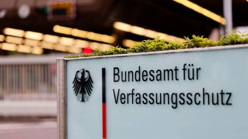 AfD-Gutachten des Verfassungsschutzes: Ist "Sven K." die undichte Stelle?