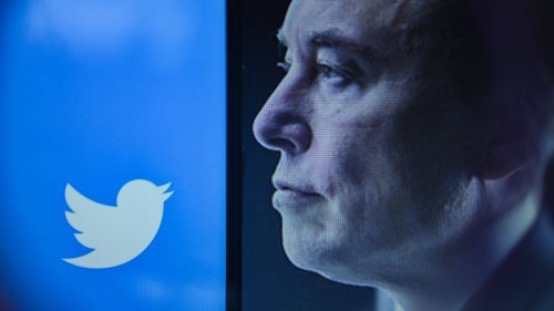 Musk will Twitter nun doch kaufen: UN fordert Kampf gegen Hassrede auf dem Dienst
