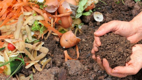 Was darf auf den Kompost und was nicht? Die richtige Mischung macht's