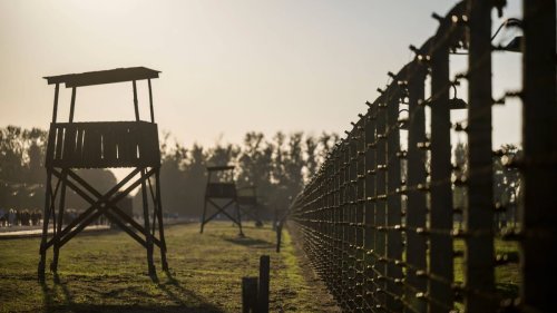 Antisemitismus nimmt zu: Pflichtbesuche für Schüler in KZ-Gedenkstätten geplant