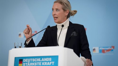 Hälfte der Deutschen hält AfD für so gefährlich wie NSDAP – Umfrage