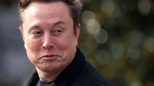 Elon Musk: Crash-Prophet warnt vor Folgen von Doge
